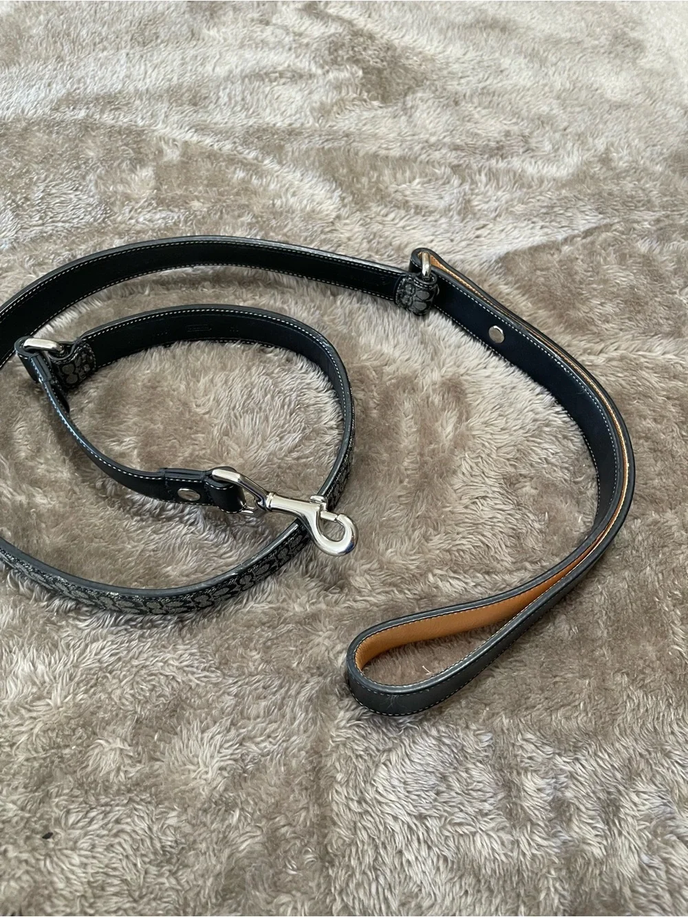Coach stylish signature